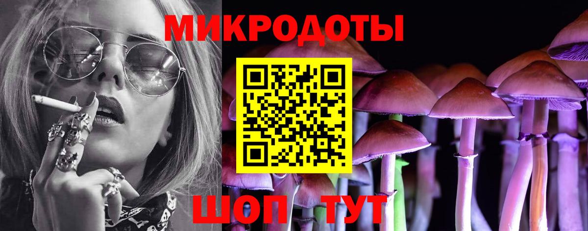 Псилоцибиновые грибы мухоморы Новозыбков